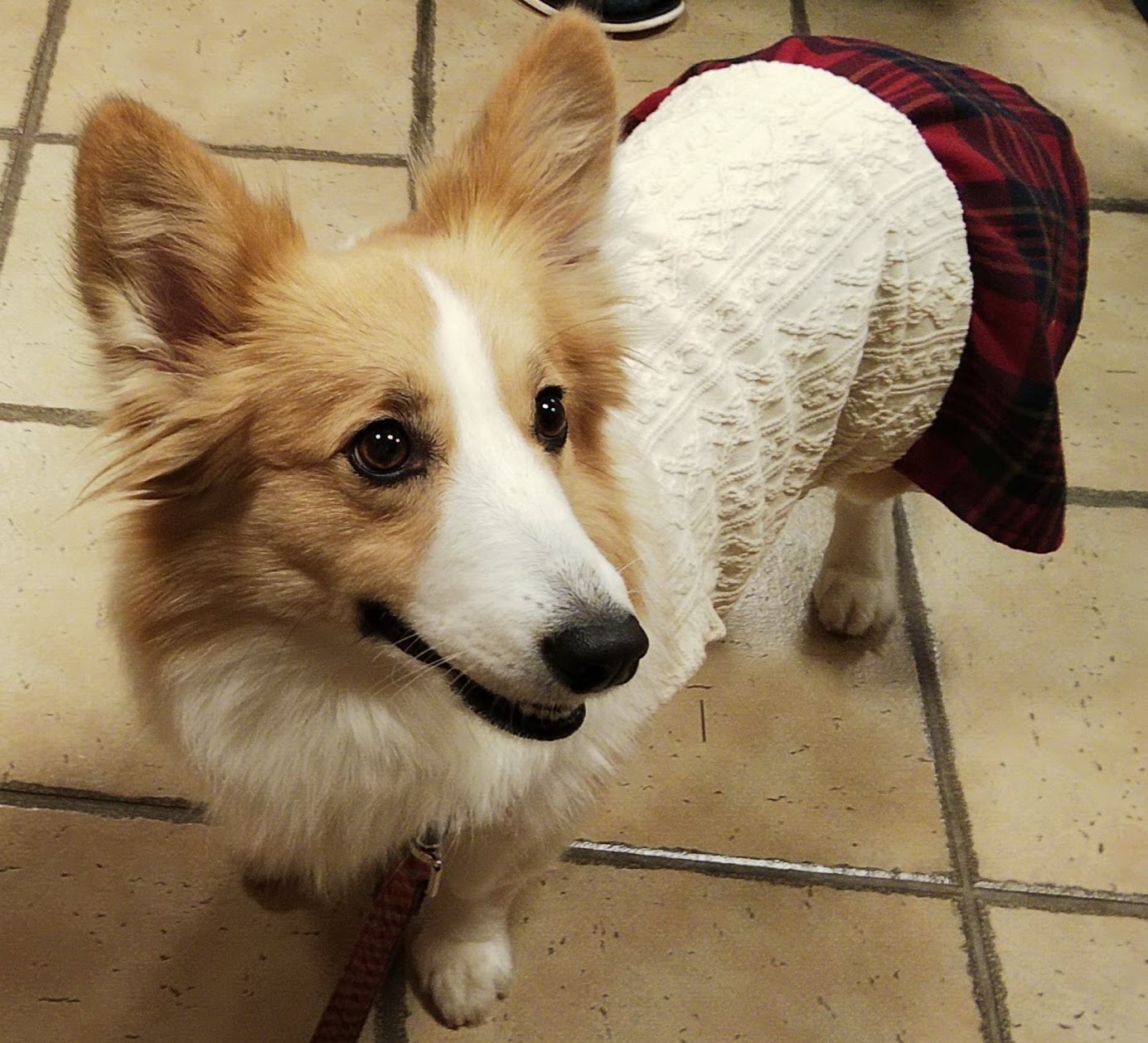 かのん店長見習い写真撮影に思う事